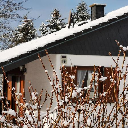 Bb19 Eifel-Ferienhaus Am Moseltal Mit Saunahaus Beuren  Luaran gambar