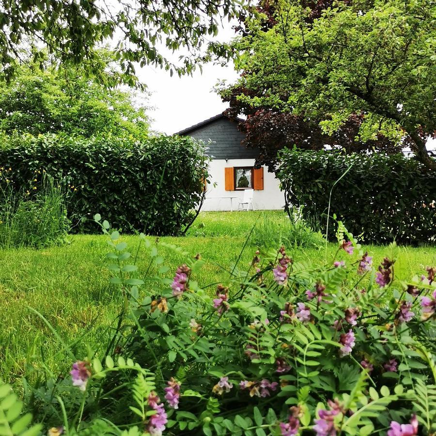 Bb19 Eifel-Ferienhaus Am Moseltal Mit Saunahaus Beuren  Luaran gambar